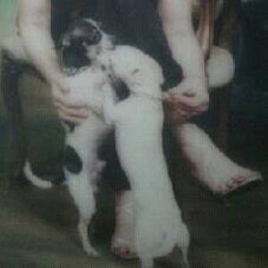 Meet your Posher, Traci